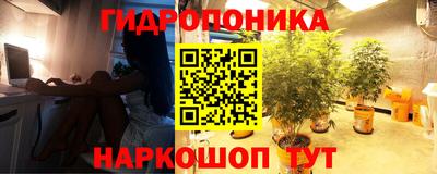 мяу мяу кристалл Новодвинск