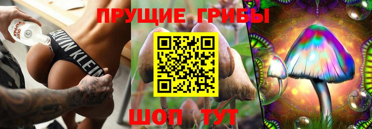где найти наркотики  Галлюциногенные грибы GOLDEN TEACHER  Вход с VPN  Сланцы 