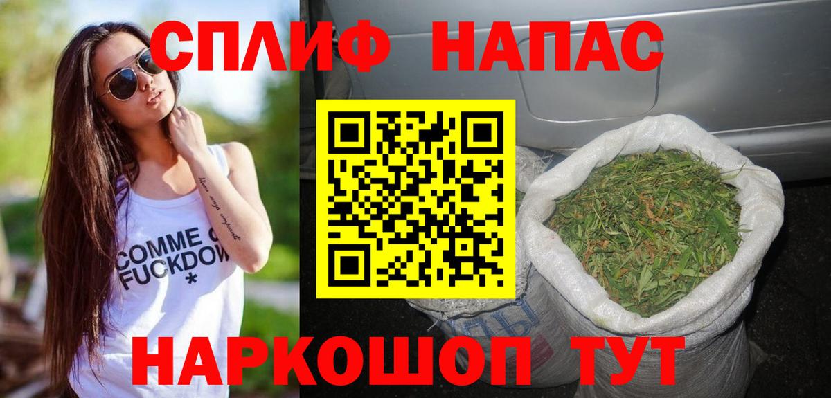 Шишки марихуана семена Сланцы